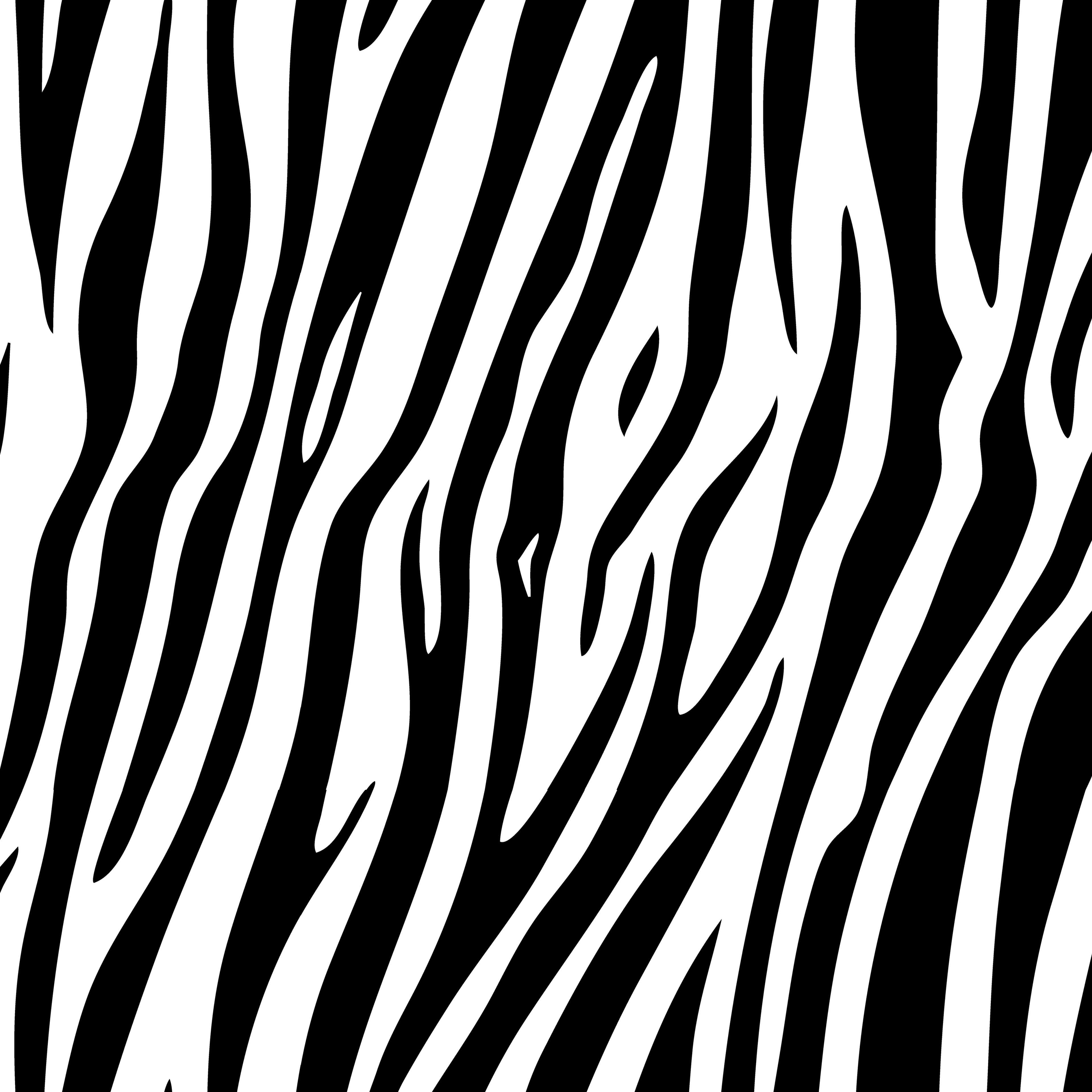 Zebra print